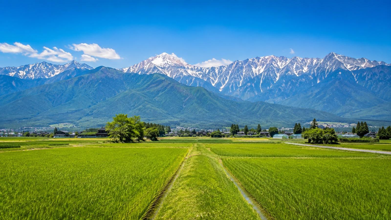 Japan Alps Private Day Tour
