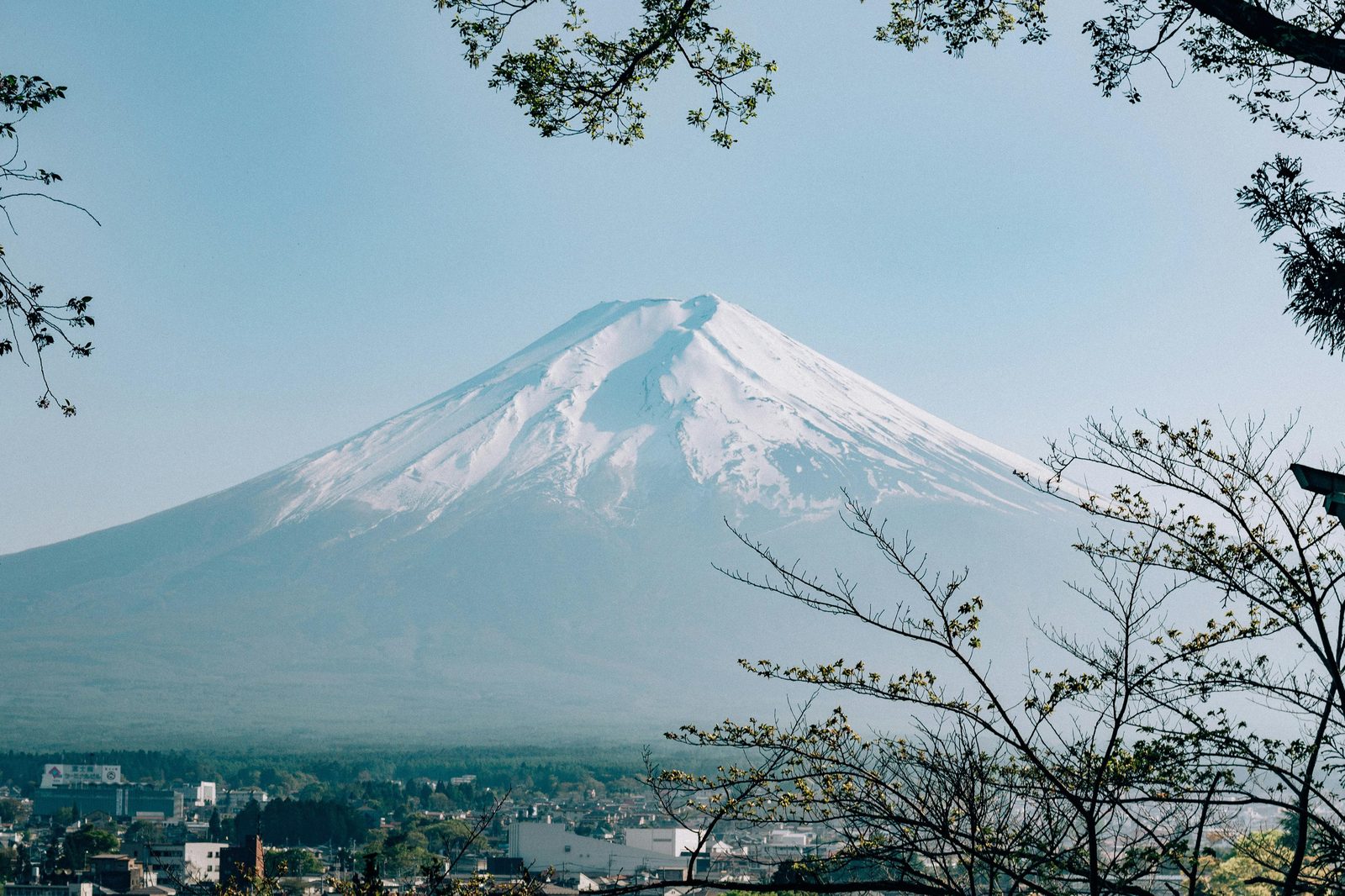 Mt. Fuji West Side Private Day Tour experience 5