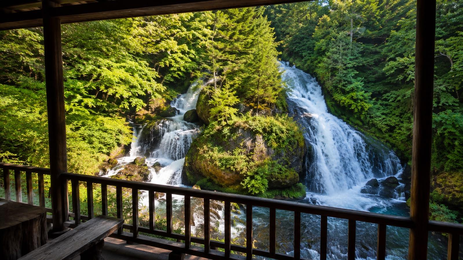 Deep Nikko Private Day Tour experience 3