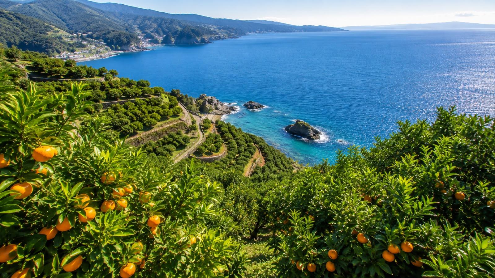 Odawara & Manazuru Coast Private Day Tour experience 3