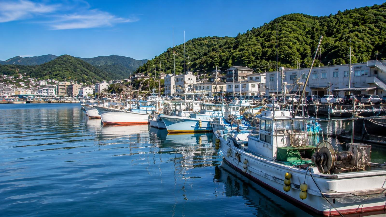 Odawara & Manazuru Coast Private Day Tour experience 5
