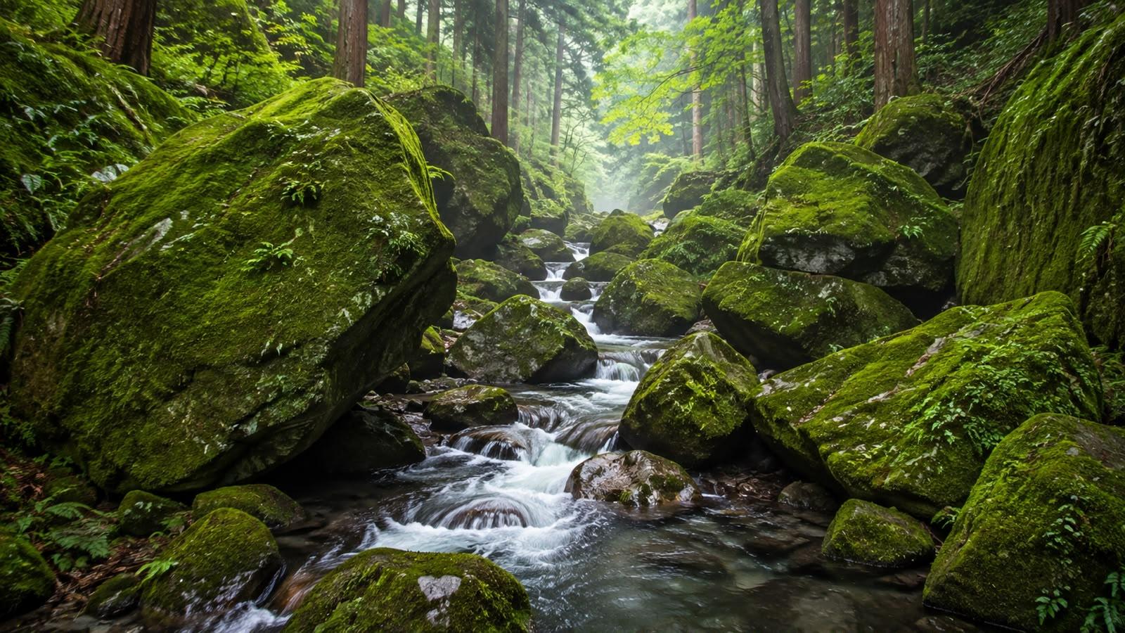Hidden Tokyo Nature Tour — Mt. Mitake & Gorge Walk