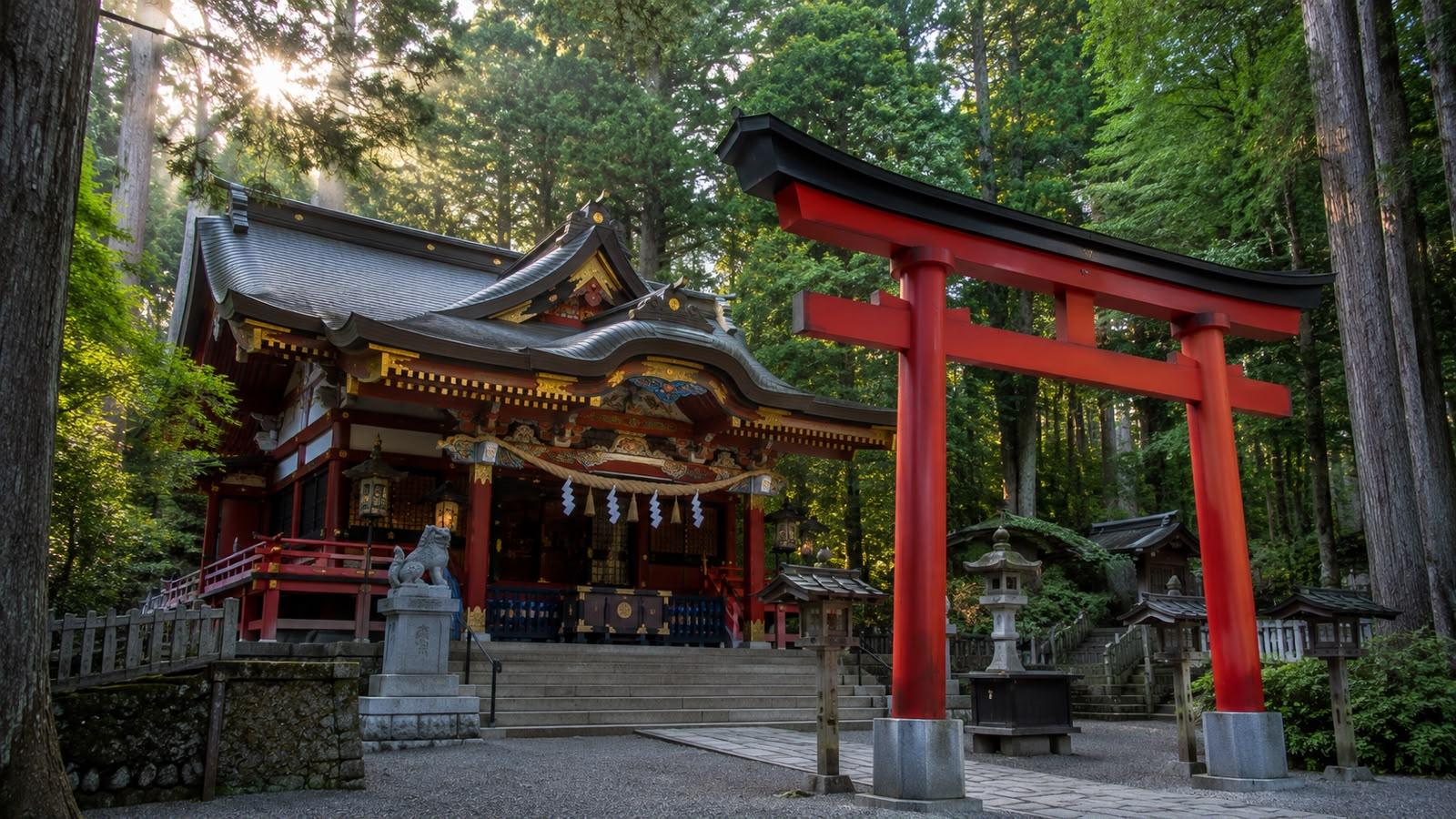 Hidden Tokyo Nature Tour — Mt. Mitake & Gorge Walk experience 2