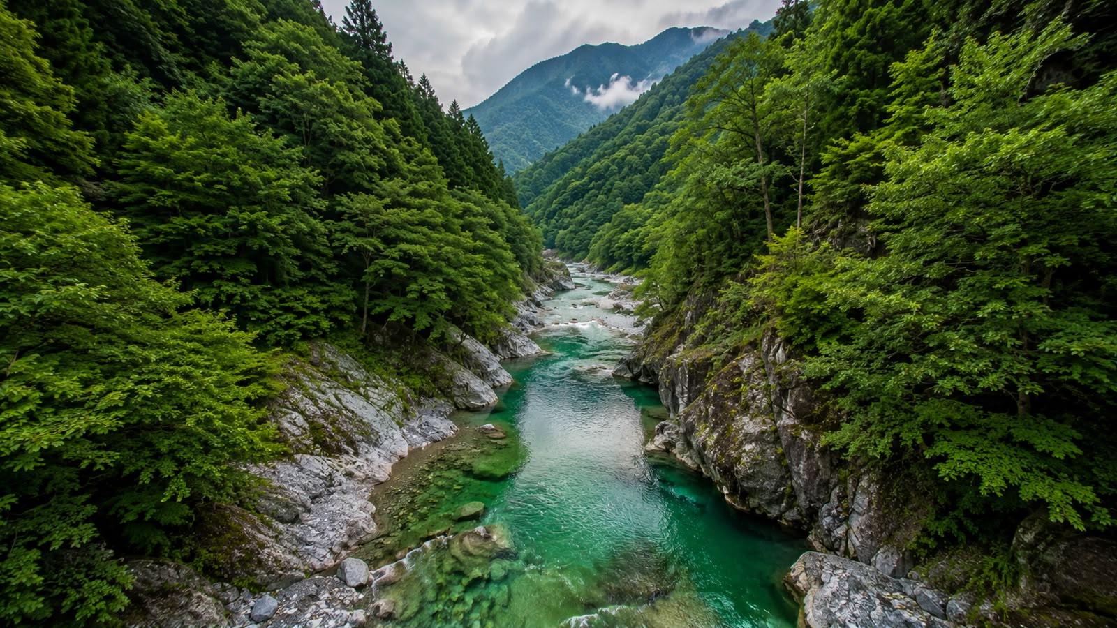Hidden Tokyo Nature Tour — Mt. Mitake & Gorge Walk experience 3