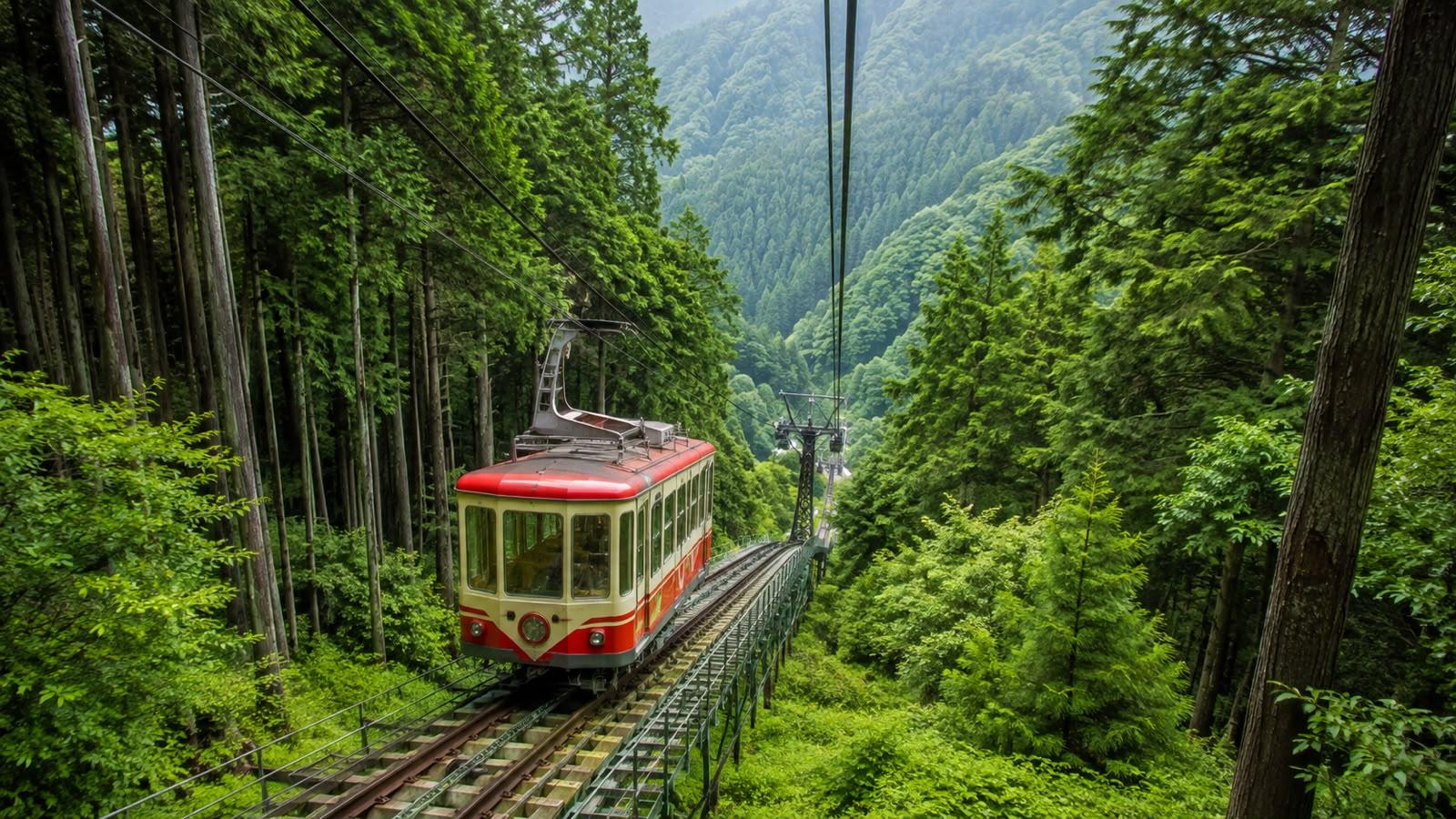 Hidden Tokyo Nature Tour — Mt. Mitake & Gorge Walk experience 4