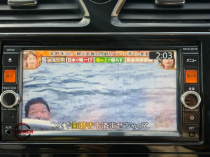 View 33