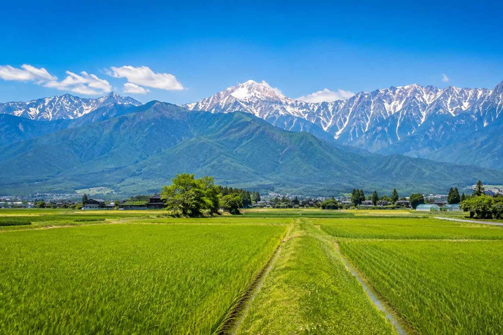 From Tokyo: Matsumoto, Wasabi Farm & Narai-juku Tour