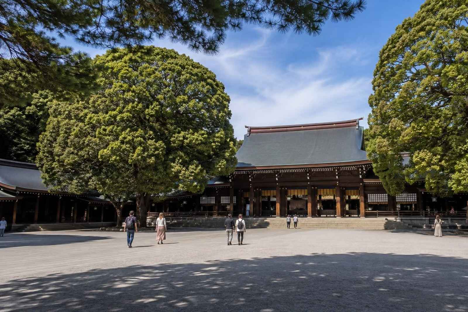 Tokyo Camii Mosque, Meiji Shrine and Harajuku Private Tour