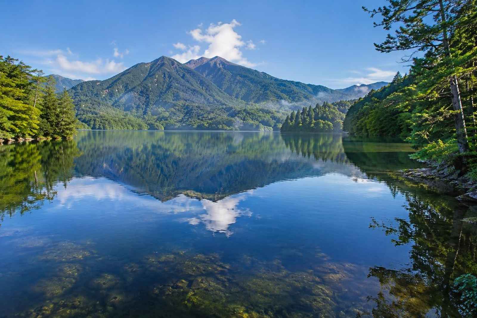 Deep Nikko Private Day Tour