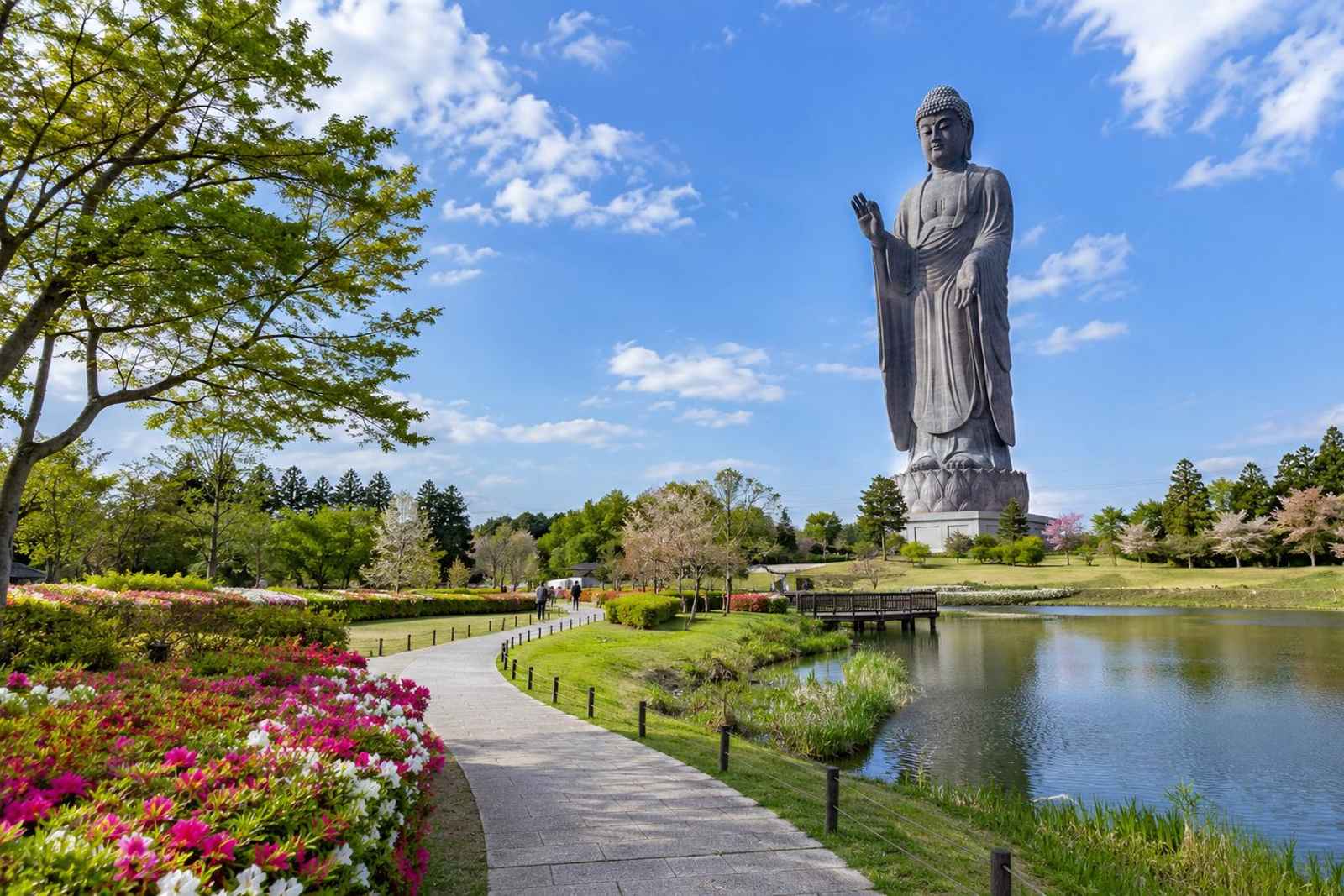 Ushiku Buddha & Oarai - Private Day Tour from Tokyo 4