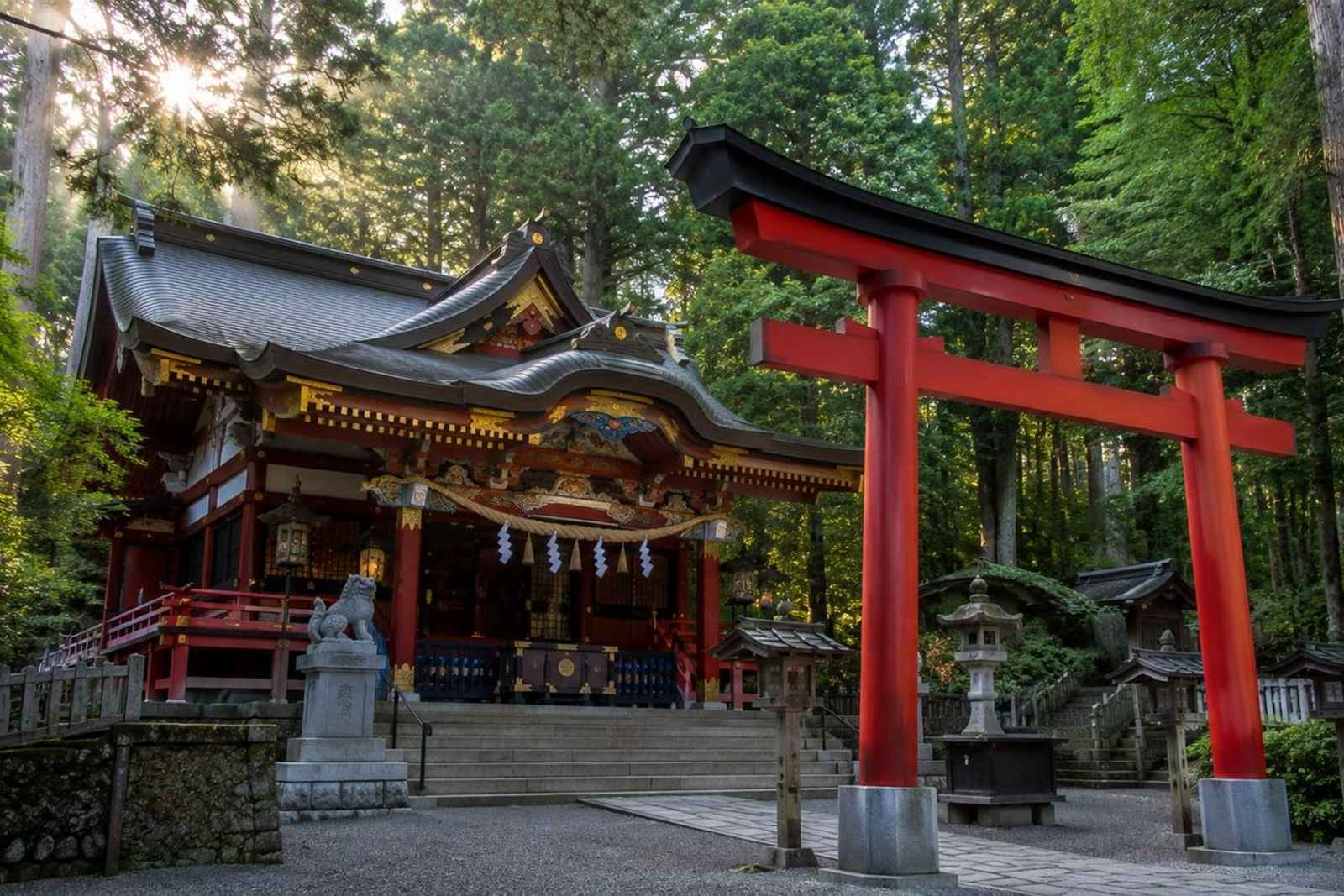 Hidden Tokyo Nature Tour — Mt. Mitake & Gorge Walk 2