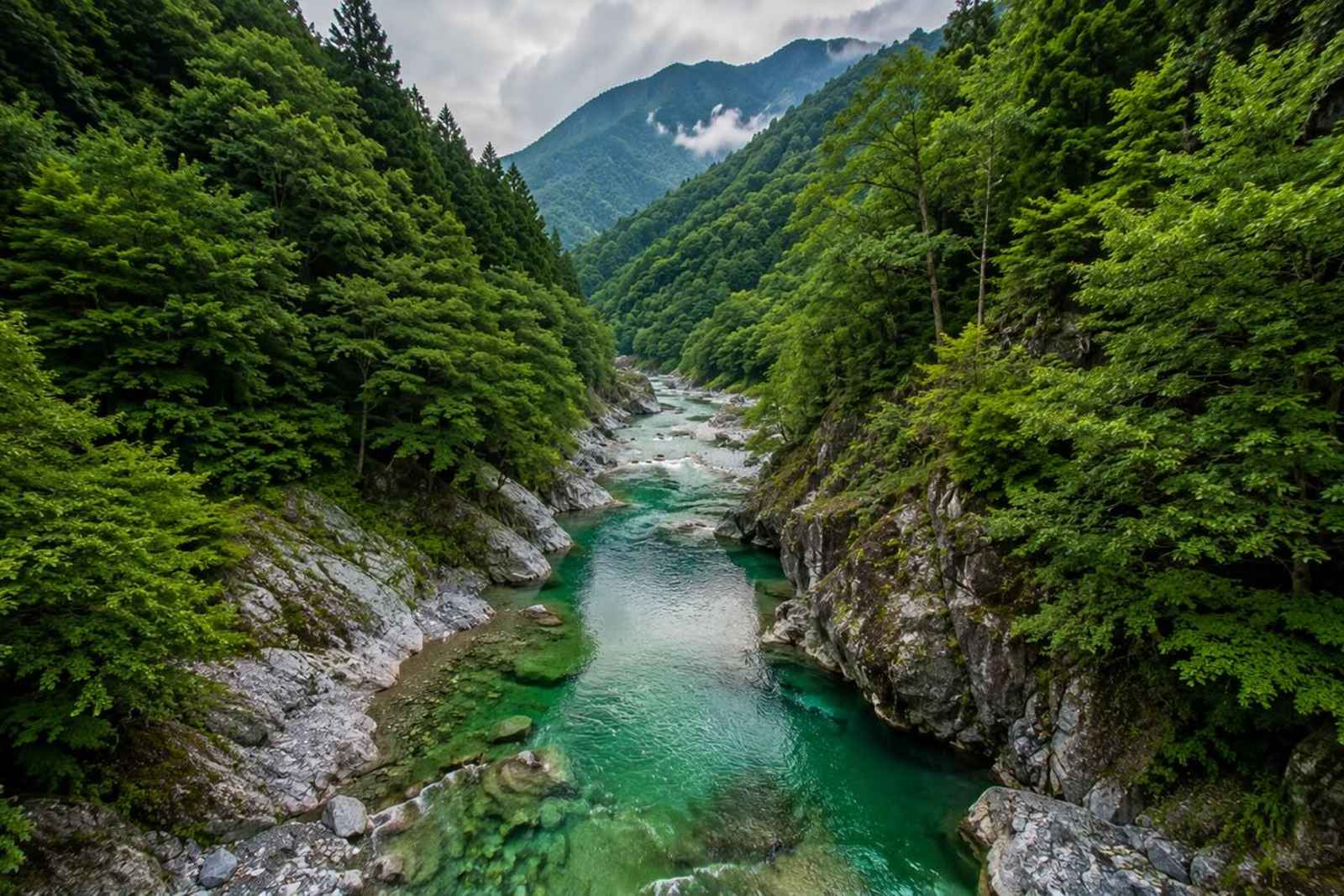 Hidden Tokyo Nature Tour — Mt. Mitake & Gorge Walk 3