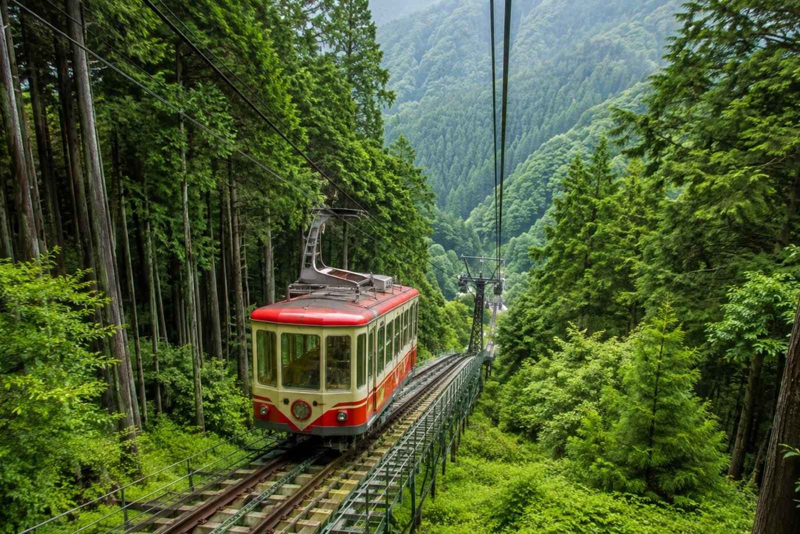 Hidden Tokyo Nature Tour — Mt. Mitake & Gorge Walk 4