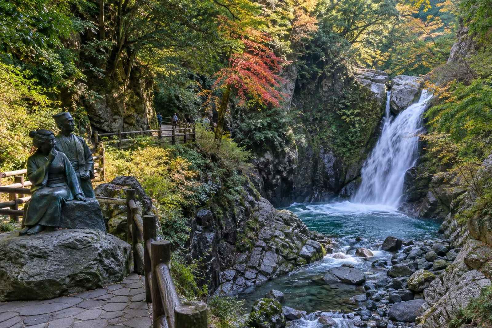 Izu Jogasaki & Shuzenji - Private Day Tour from Tokyo 3