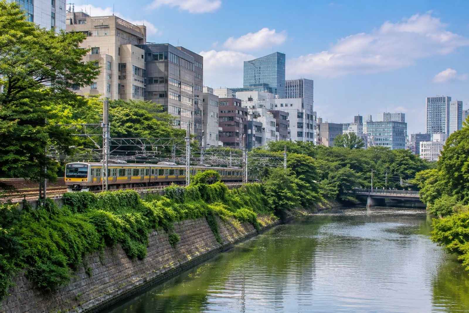 Kagurazaka and Yotsuya Little France Private Walking Tour 5