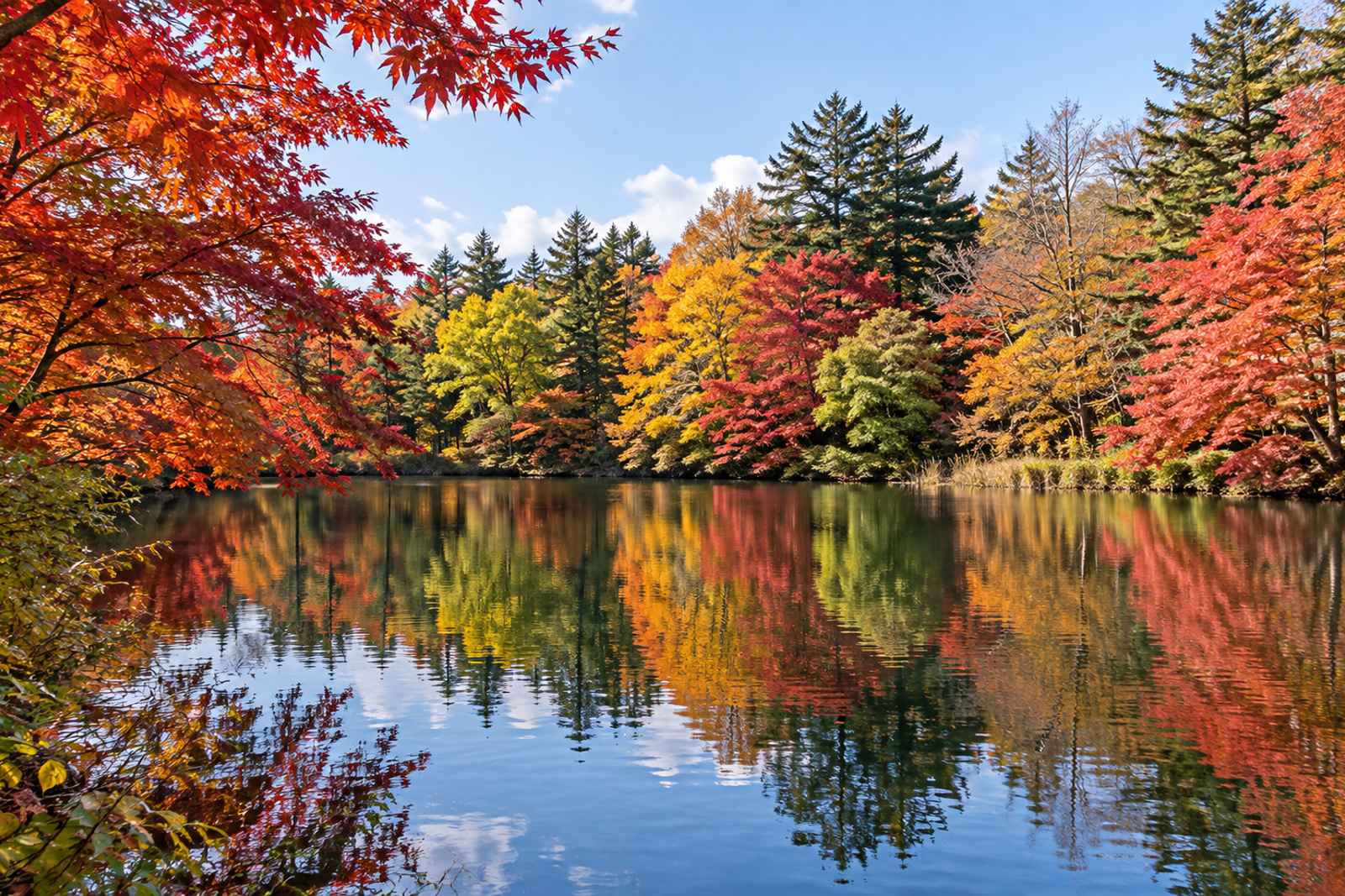 Karuizawa Falls & Old Ginza - Private Day Tour from Tokyo 2