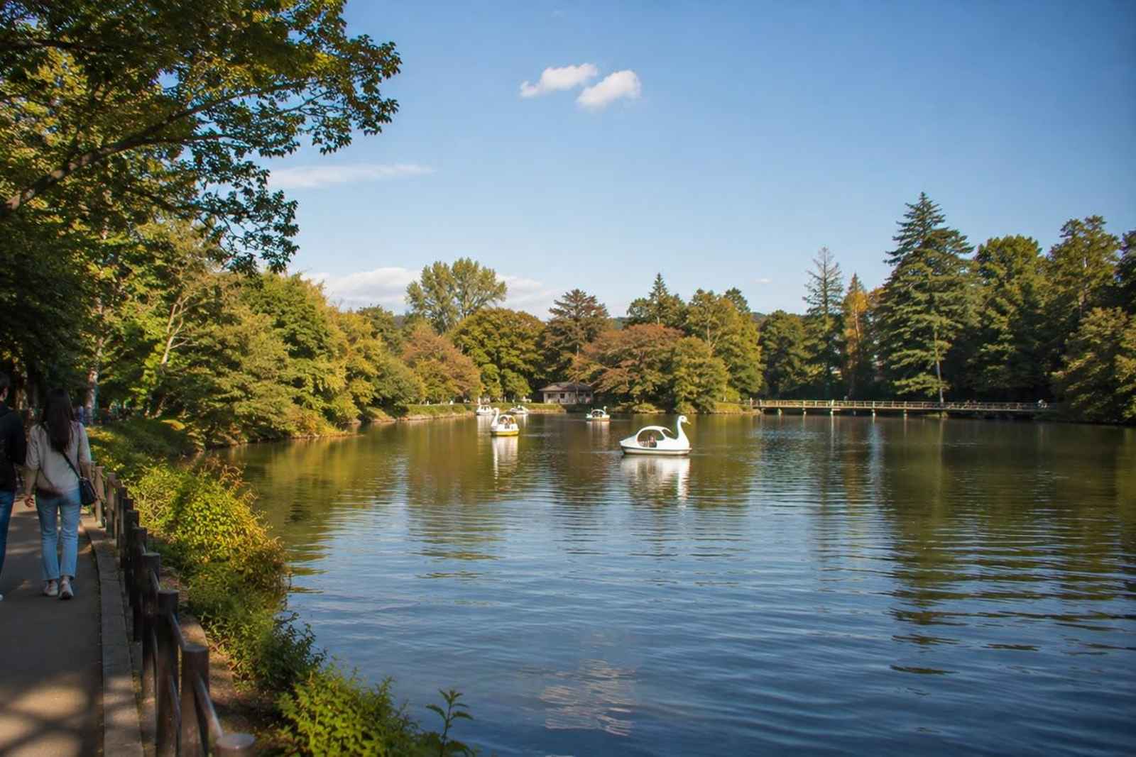 Kichijoji and Inokashira Park Private Walking Tour 3