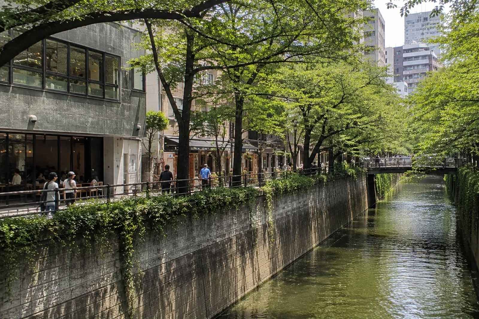 Koenji, Suginami & Nakameguro: Anime Flexible Itinerary Tour
