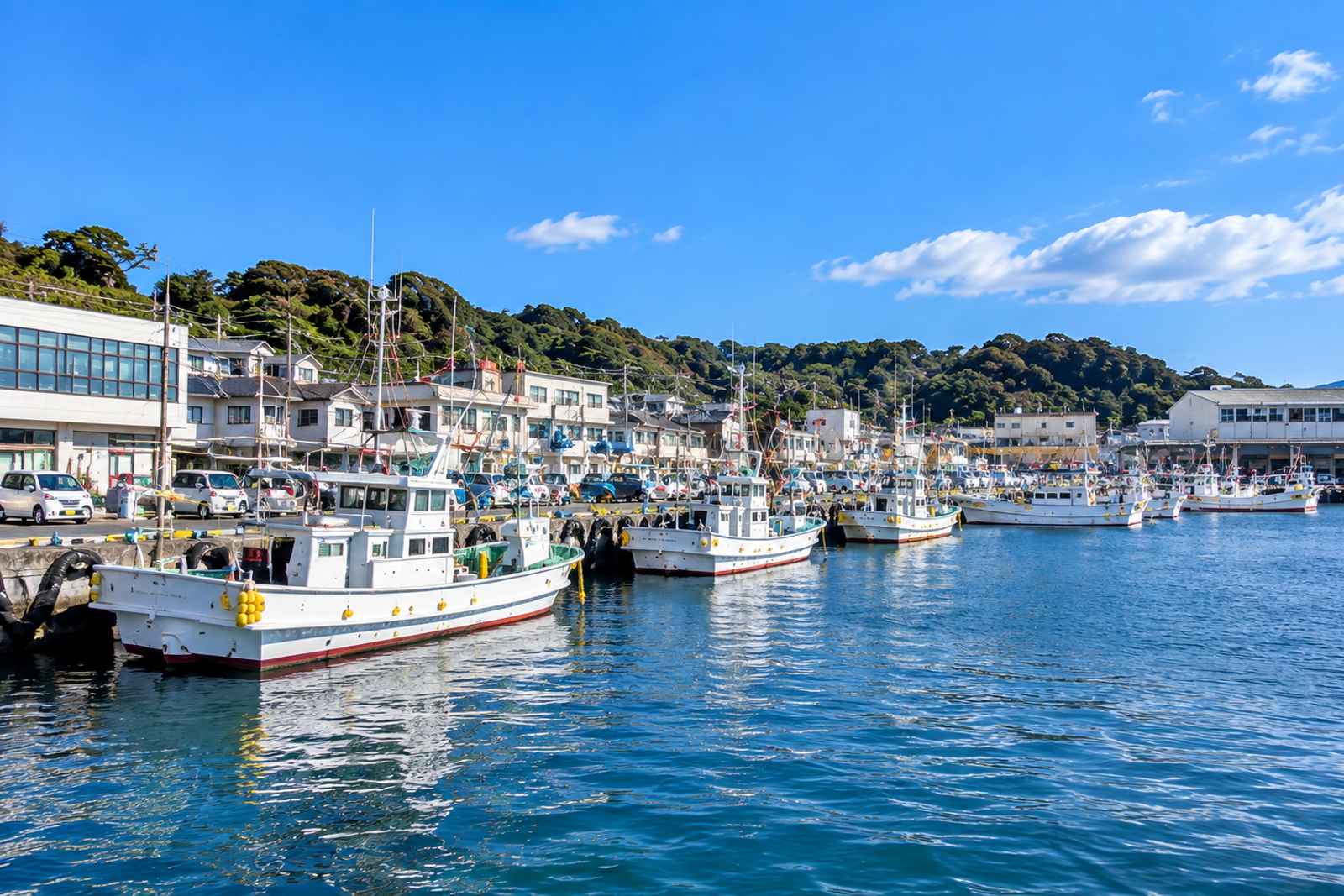 Misaki Tuna & Miura Coast - Private Day Tour from Tokyo 5