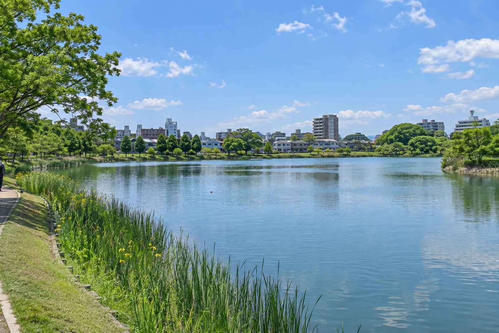 Mito Kairakuen & Natto Town - Private Day Tour from Tokyo 5