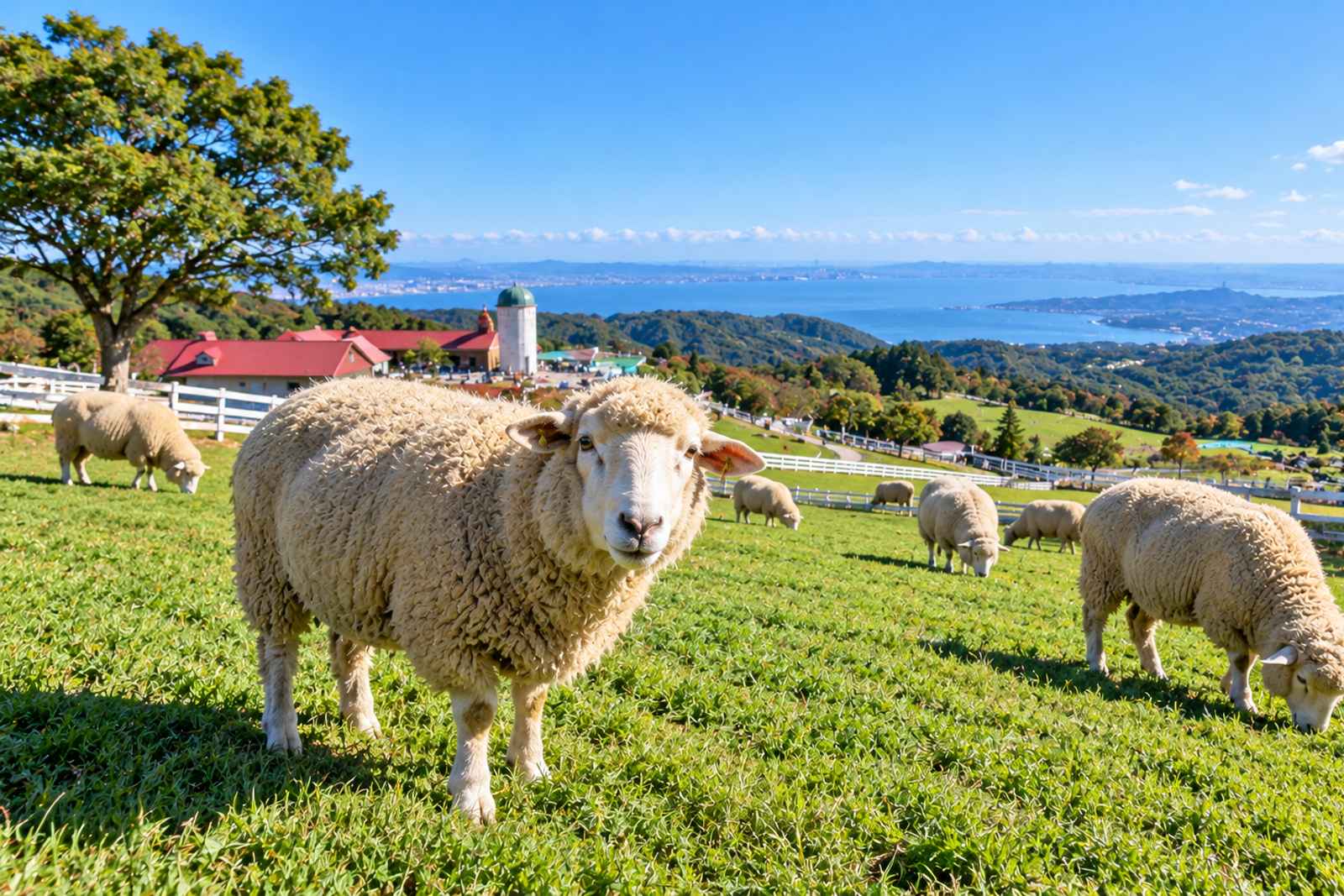 Mother Farm & Aqualine - Private Day Tour from Tokyo 5
