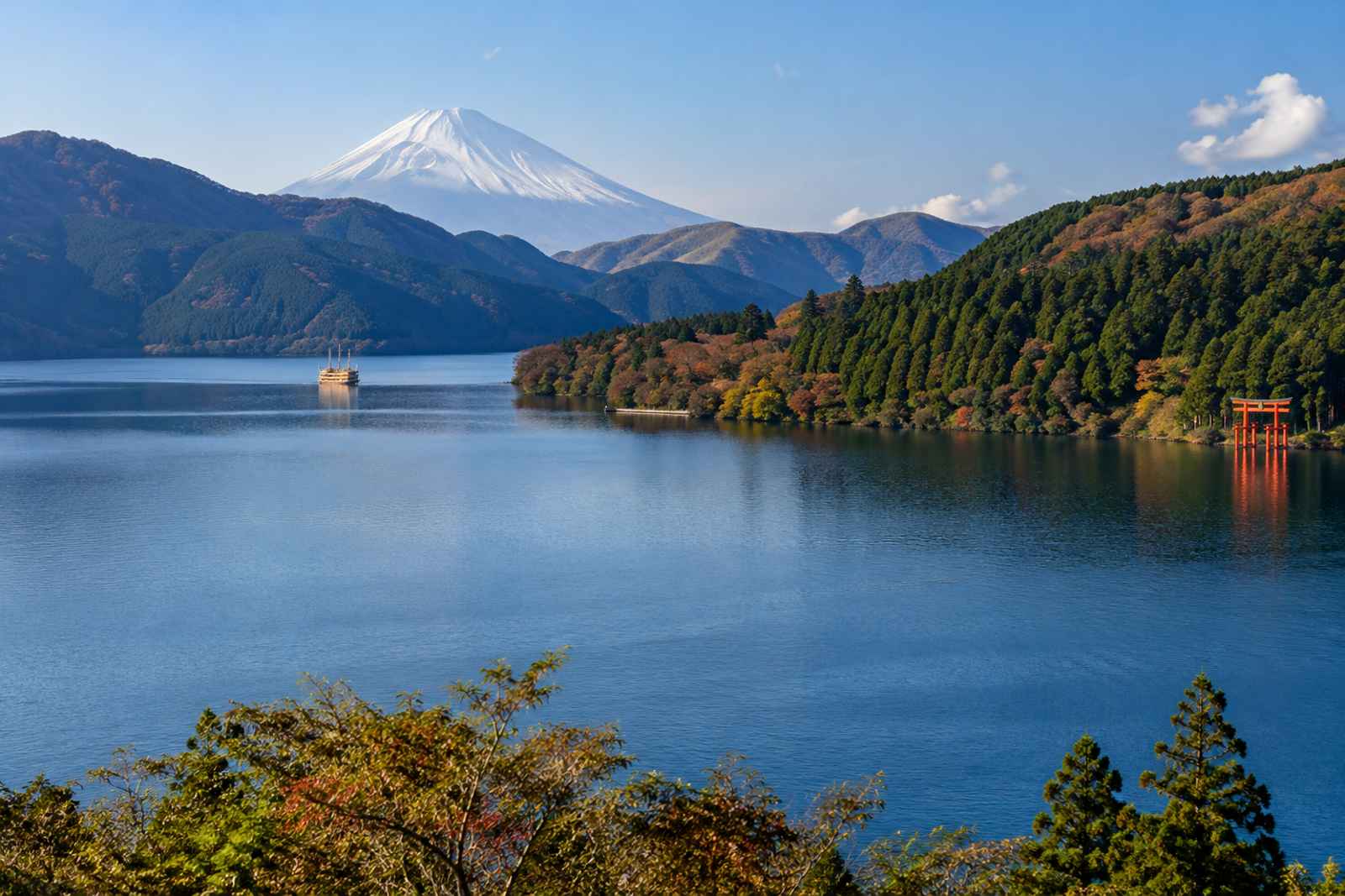 From Tokyo: Private Mt Fuji & Hakone Tour at Your Own Pace 5