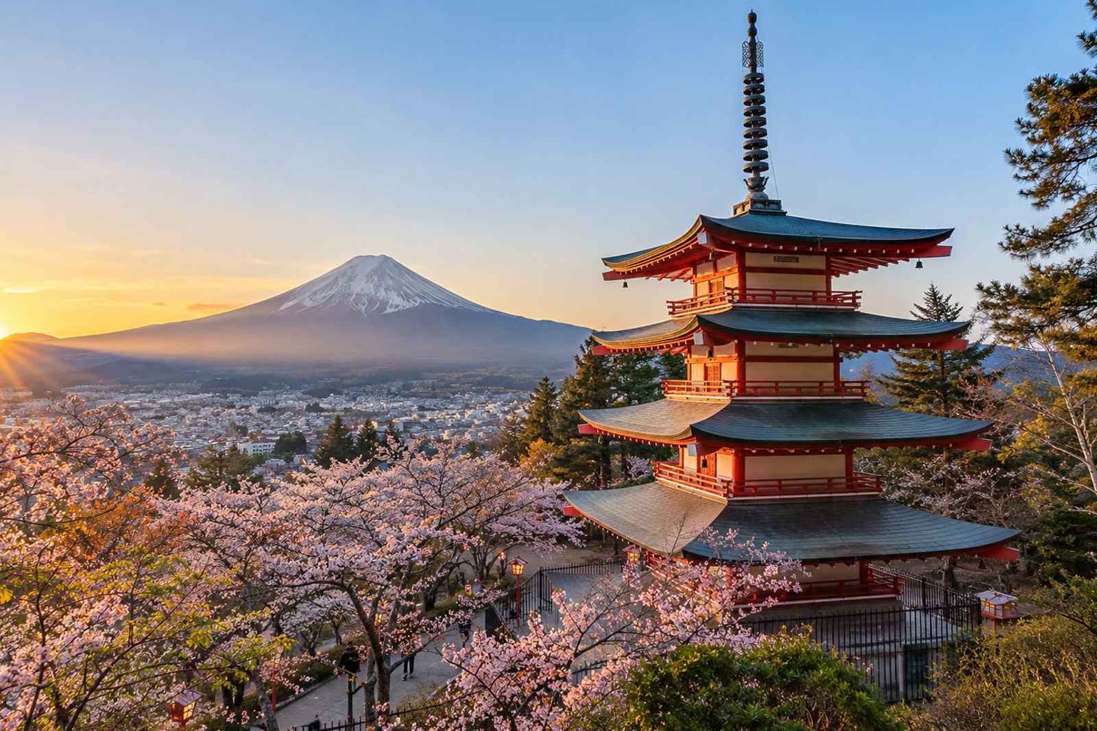 Mt Fuji Sunrise & Onsen - Private Day Tour from Tokyo