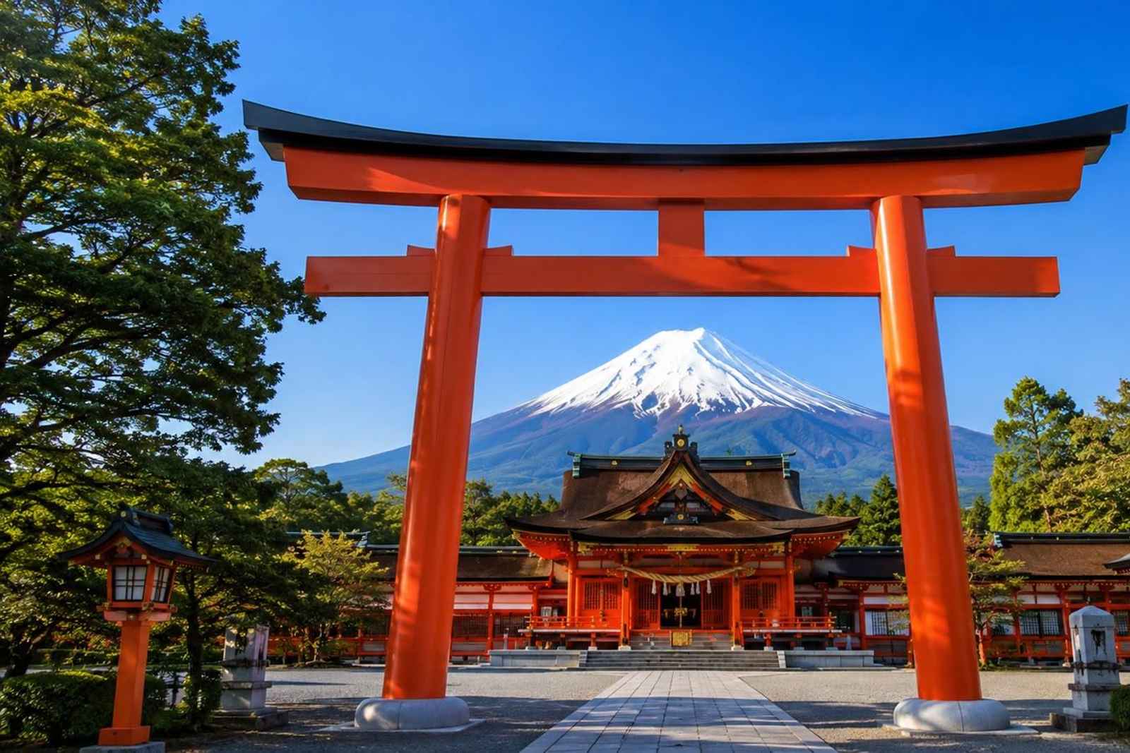 Mt. Fuji West Side Private Day Tour 2