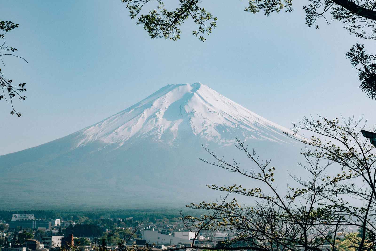 Mt. Fuji West Side Private Day Tour 5