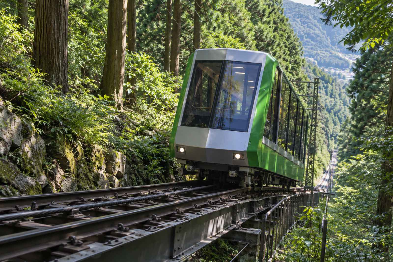 Mt Oyama Cable Car & Tofu - Private Day Tour from Tokyo