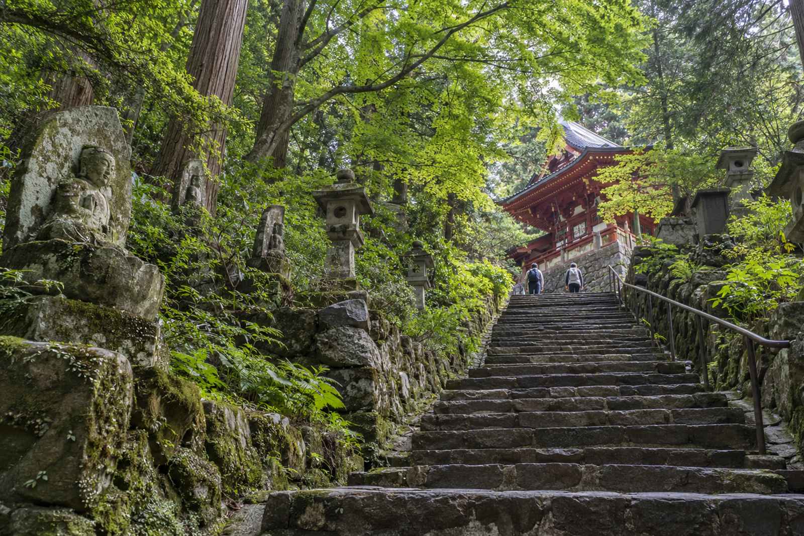 Mt Oyama Cable Car & Tofu - Private Day Tour from Tokyo 5