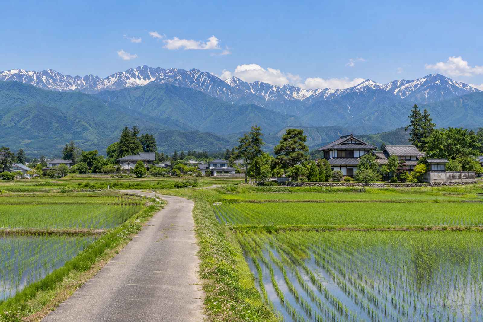 Narai-juku & Matsumoto - Private Day Tour from Tokyo 3
