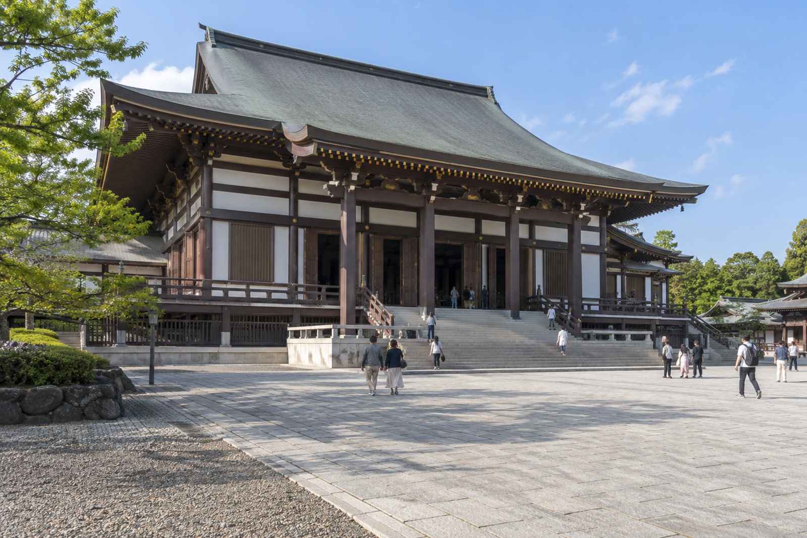Narita Layover: Naritasan Temple & Eel - Private Day Tour from Tokyo 2