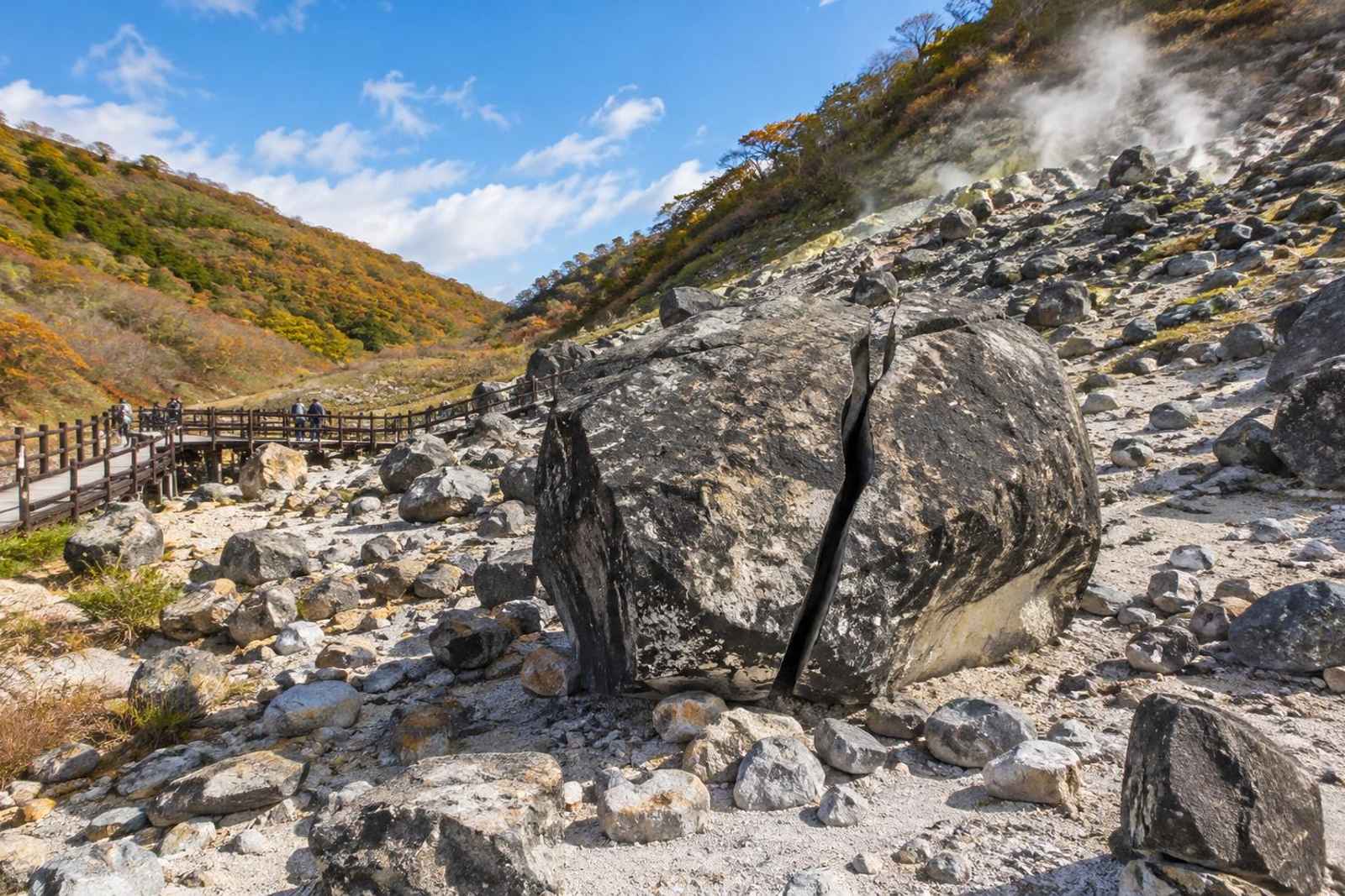 Nasu Animal Kingdom & Onsen - Private Day Tour from Tokyo