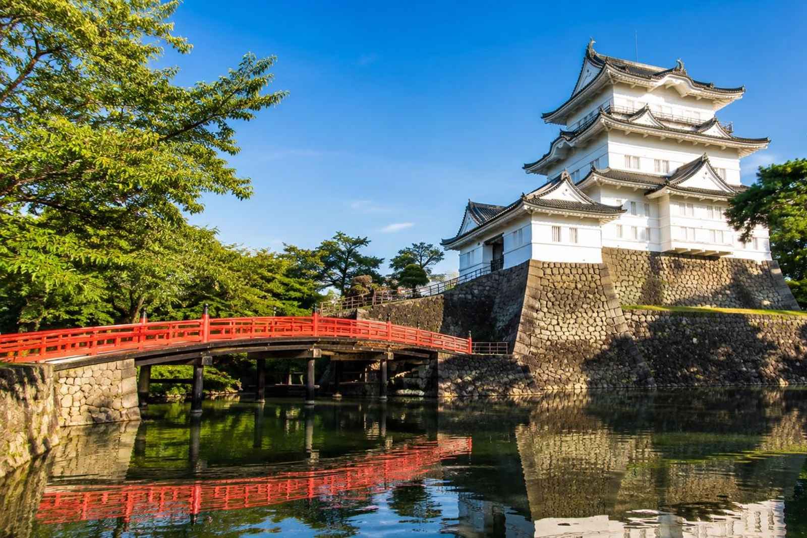 Odawara & Manazuru Coast Private Day Tour