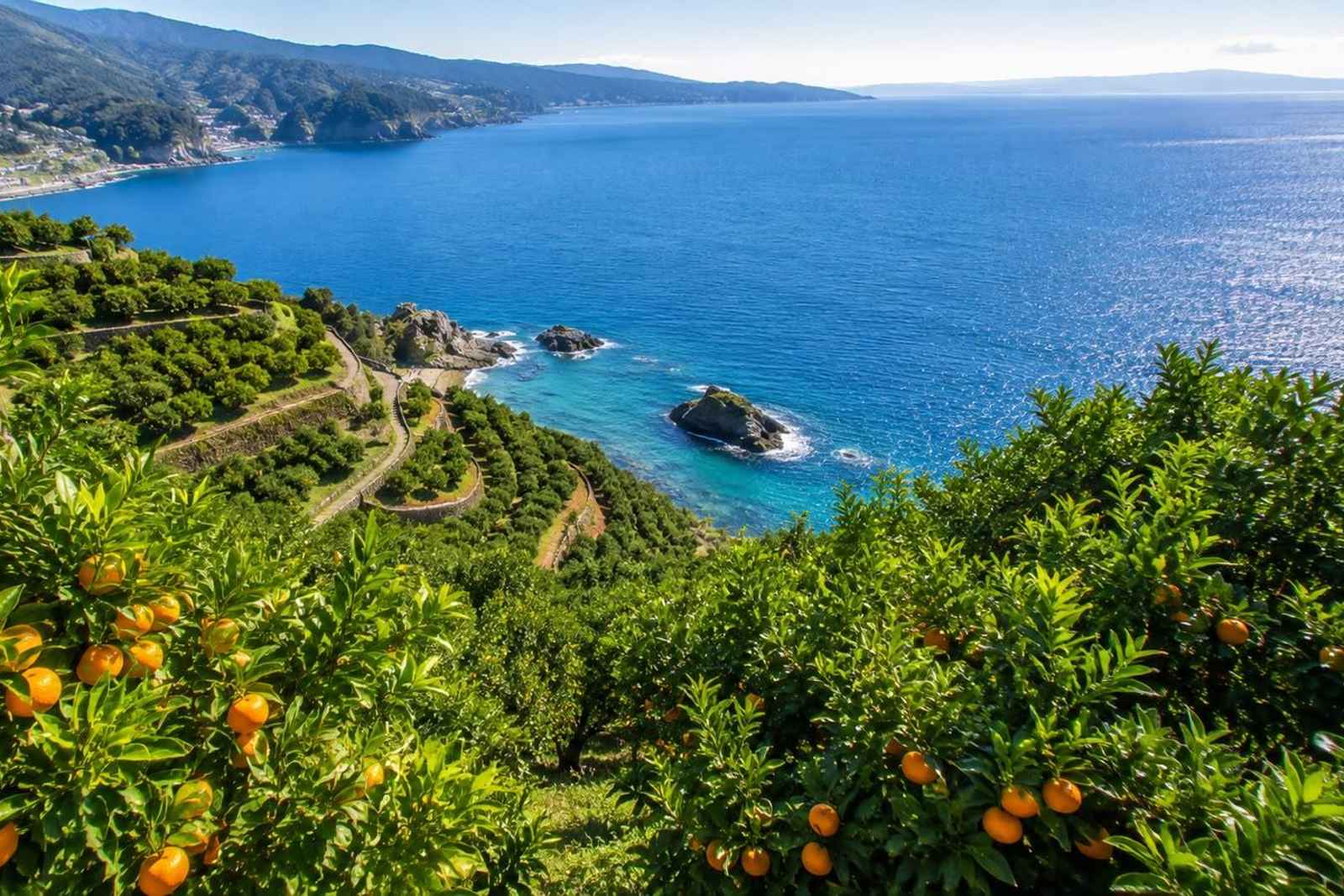 Odawara & Manazuru Coast Private Day Tour 3