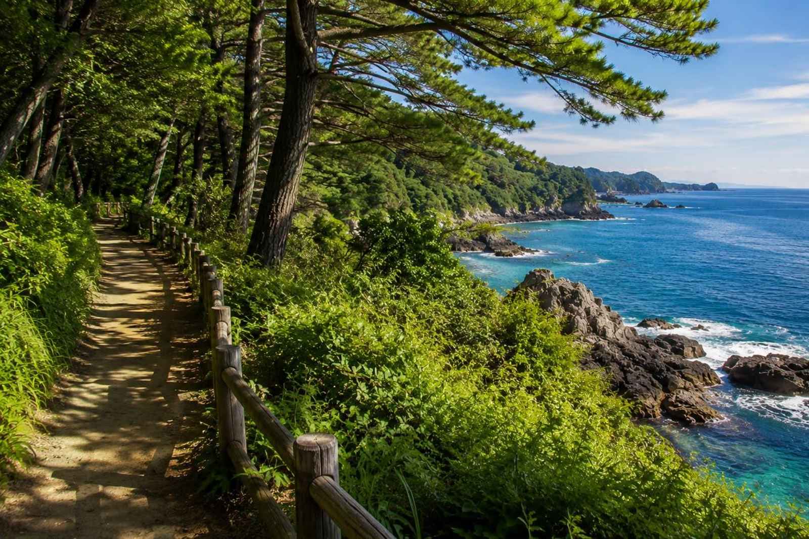 Odawara & Manazuru Coast Private Day Tour 4