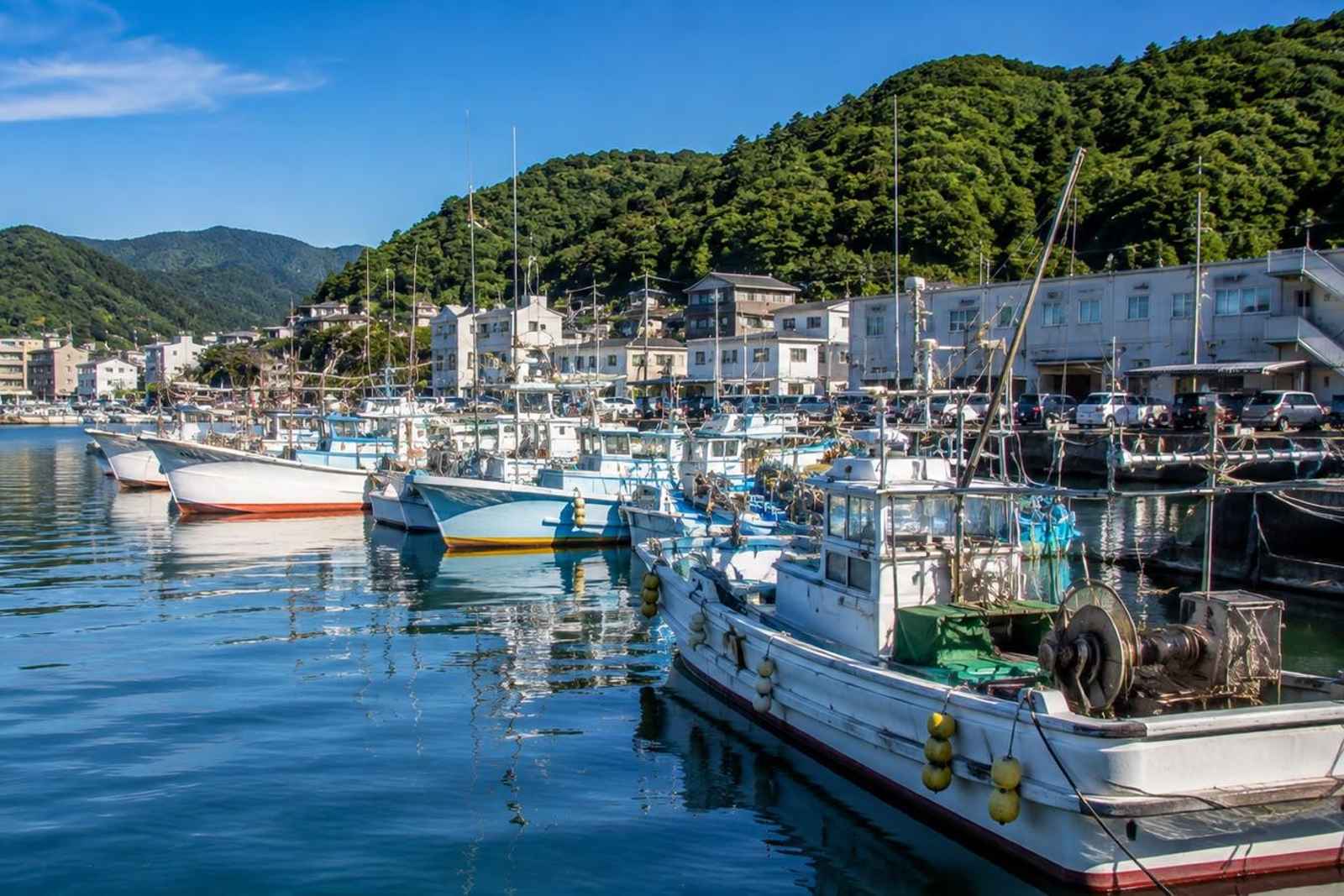 Odawara & Manazuru Coast Private Day Tour 5