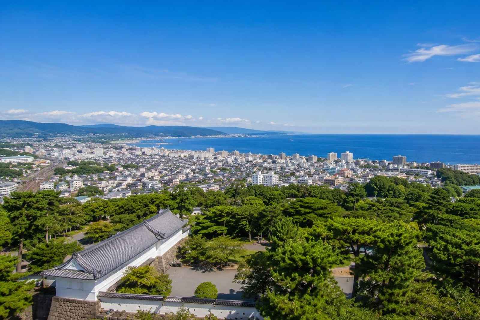 Odawara & Manazuru Coast Private Day Tour