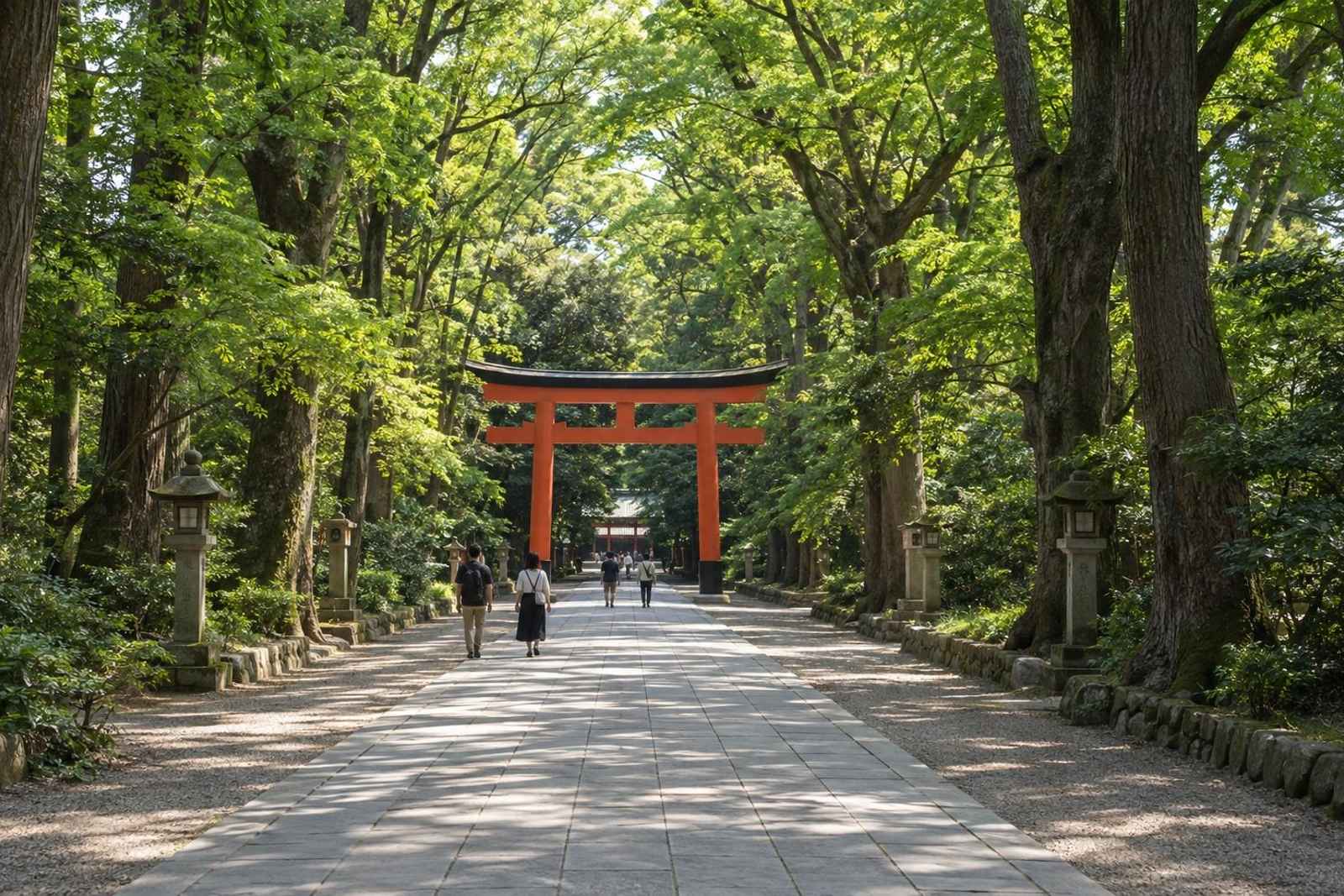 Omiya Bonsai & Railway - Private Day Tour from Tokyo
