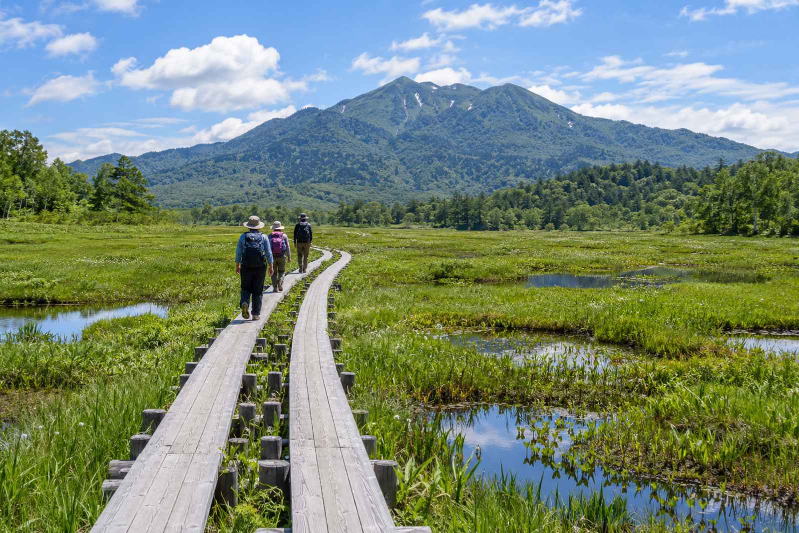 Oze Marsh Boardwalk Hike - Private Day Tour from Tokyo