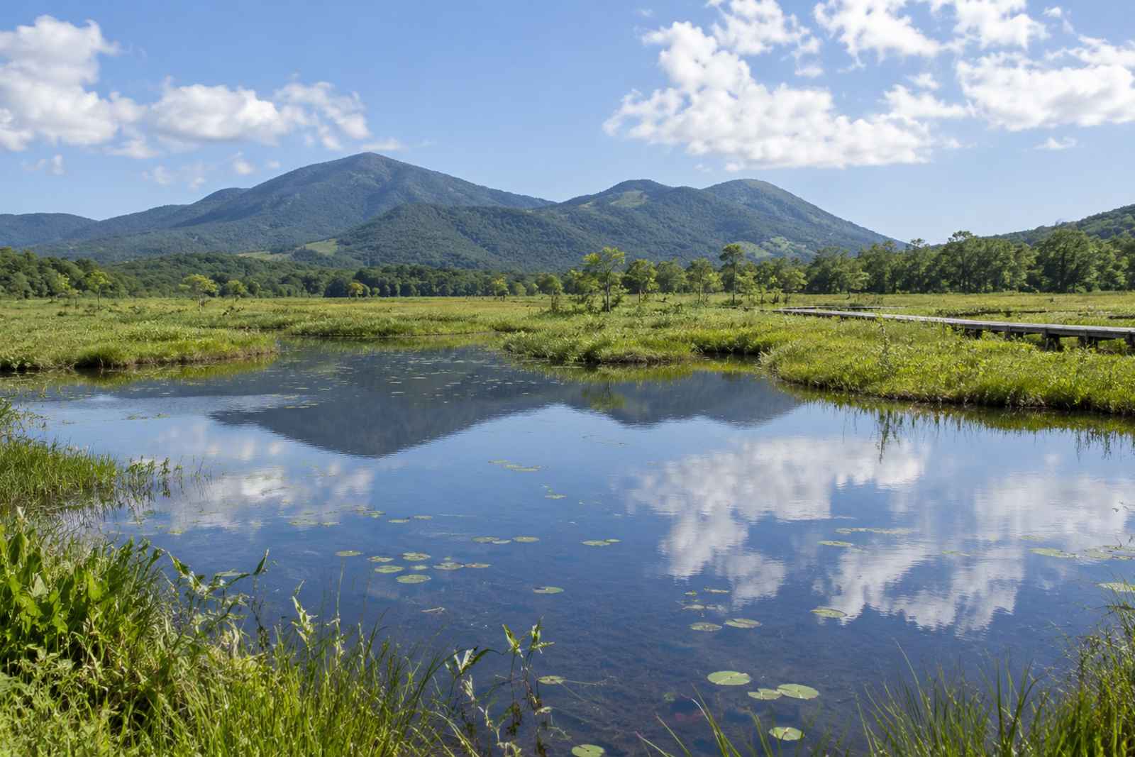 Oze Marsh Boardwalk Hike - Private Day Tour from Tokyo 2