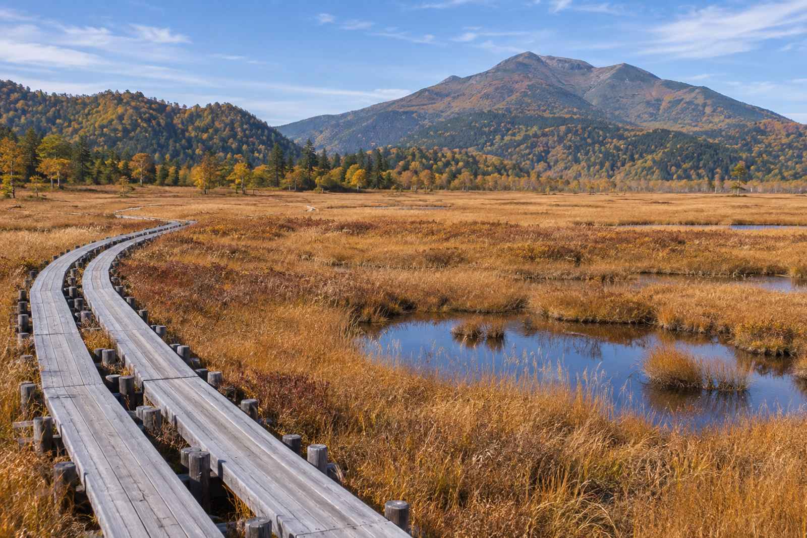 Oze Marsh Boardwalk Hike - Private Day Tour from Tokyo 4