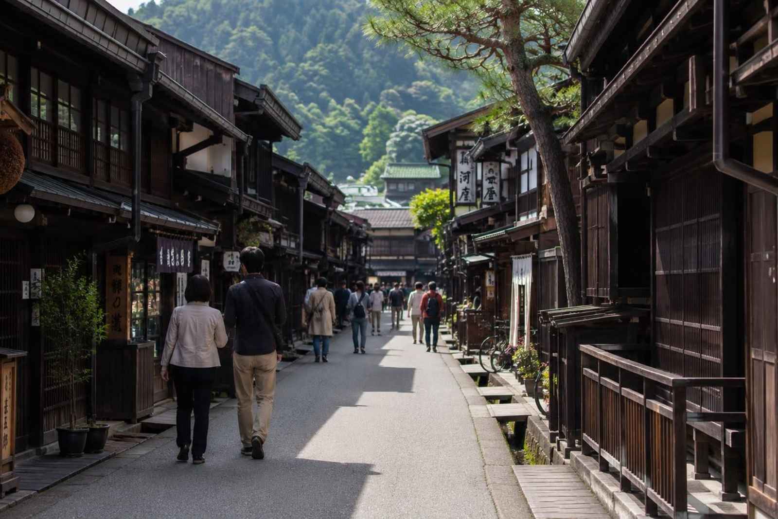 Shirakawa-go Farmhouse Village and Takayama 2-Day Private Tour