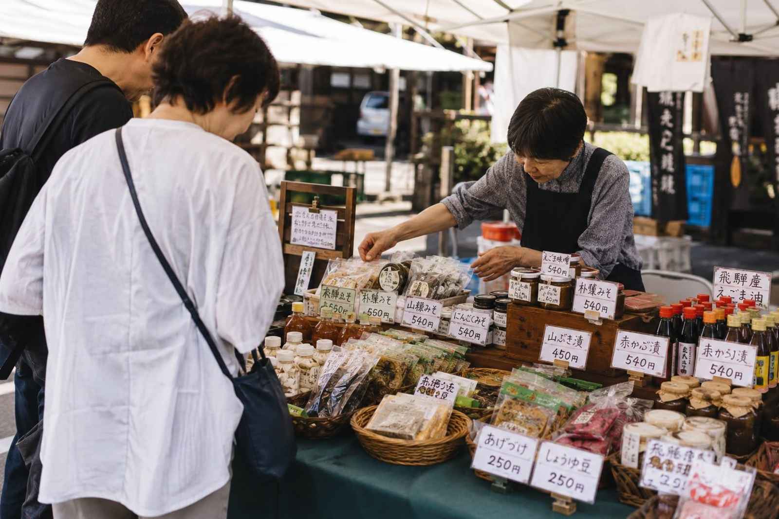 Shirakawa-go Farmhouse Village and Takayama 2-Day Private Tour