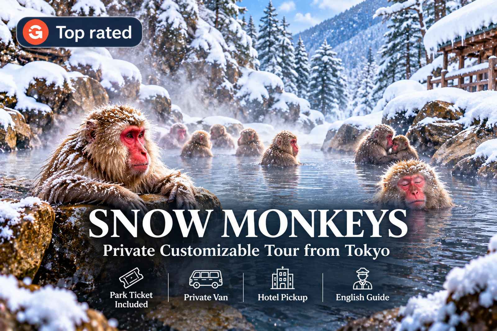 From Tokyo: Snow Monkey Park Private Customizable Tour
