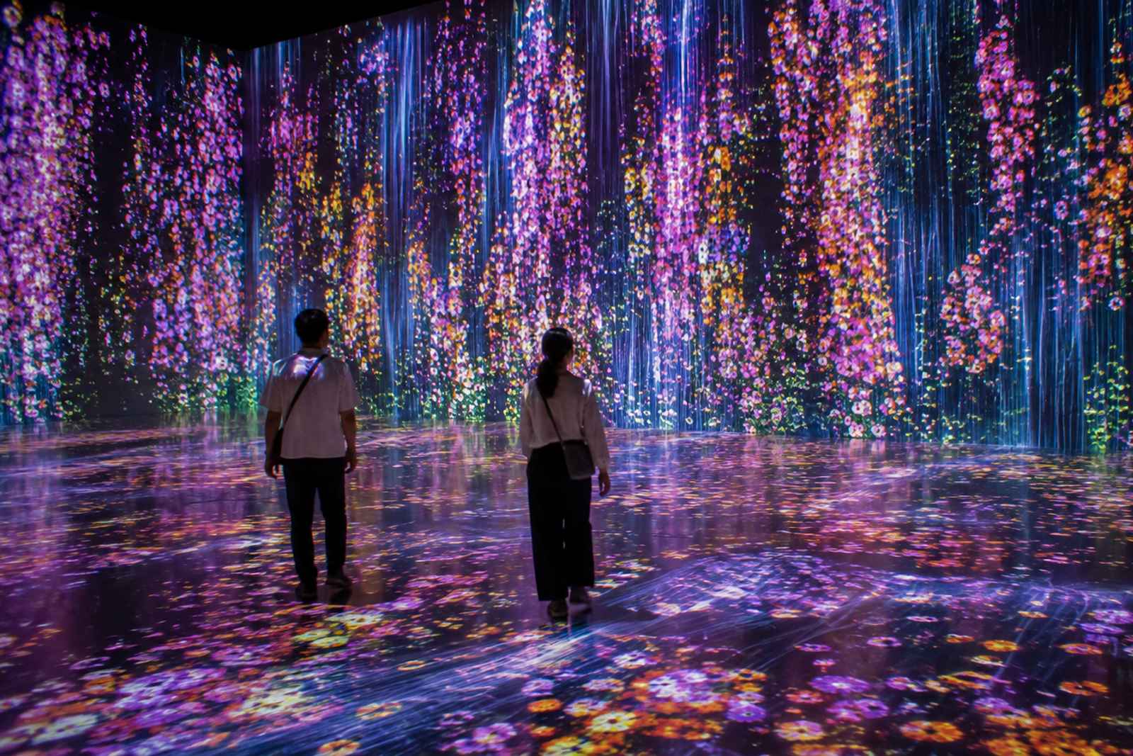 teamLab Borderless and Roppongi Art Triangle Private Tour 2