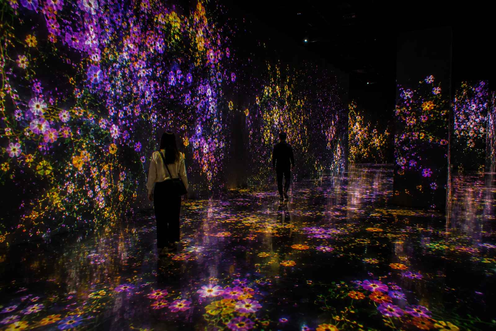 teamLab Borderless and Roppongi Art Triangle Private Tour 3