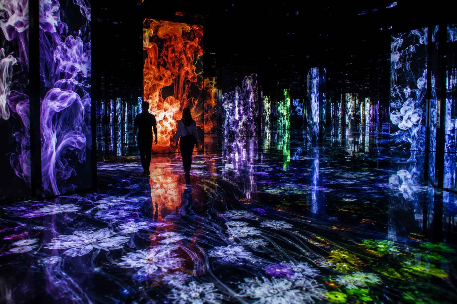 teamLab Borderless and Roppongi Art Triangle Private Tour 4