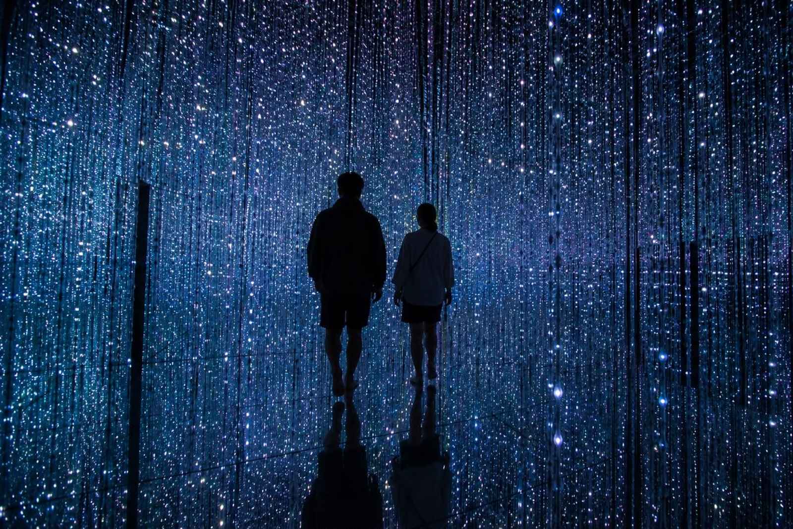 teamLab Planets and Halal-Friendly Food Private Tour, Toyosu
